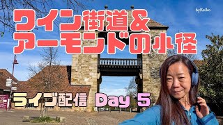 ライブ中継！Day5 ドイツワイン街道アーモンドの小径 ハイキング 7/7