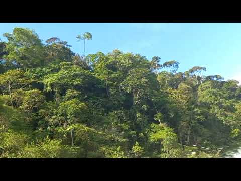 Viaje en el litoral del San Juan-Chocó