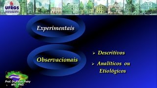 Estudo Observacional Transversal