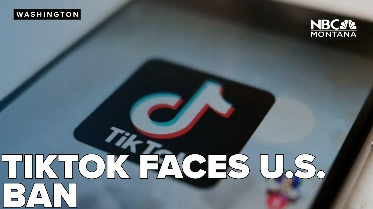 TikTok faces US ban as federal court hears pivotal case on app's future