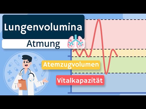 Lungenvolumina und Lungenkapazitäten einfach erklärt