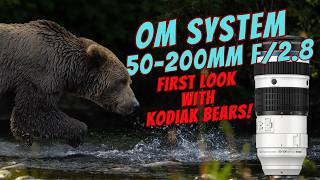 First Look: OM System 50-200mm f/2.8 in the Wild with Kodiak Bears
