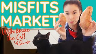 My Misfits Market Thanksgiving Haul Unboxing With Brexie the Cat! + Coupon Code!