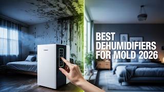 Top 6 Best Dehumidifier For Mold 2026!