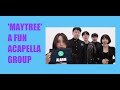 MayTree Acapella Amazing Extraordinary Attorney Woo Plants Vs Zombies Moana