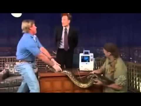 Steve Irwin Anaconda'yı Ultrasona Sokmak Conan O'Brien