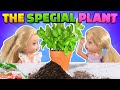 Barbie - The Twin's Special Plant | Ep.308