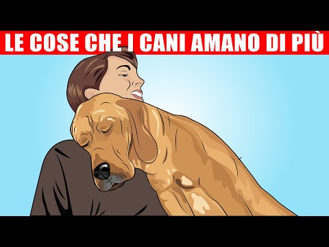 Le 15 Cose Che i Cani Amano di Più