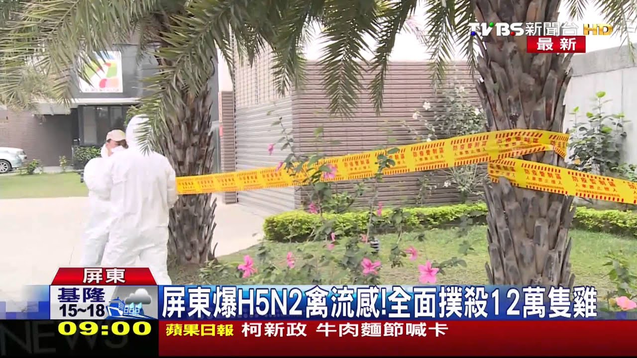 雲嘉屏15家禽場 鴨鵝暴斃!恐H5N8首襲台