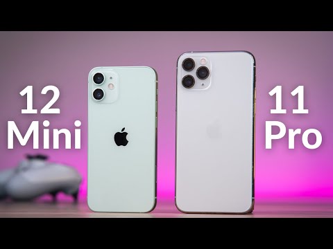 iPhone 12 Mini vs iPhone 11 Pro: Tiny Tots!
