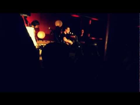 DIE HERREN POLARIS - Schwarzes Schaf - live (Augsburg)