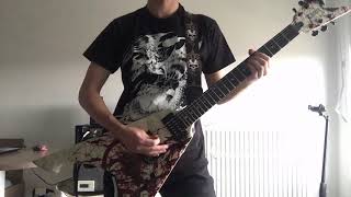 Ensiferum - Feast with Valkyries Guitar Cover