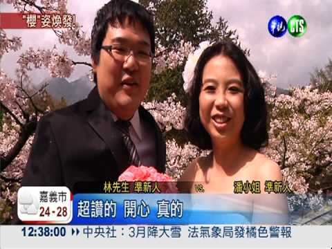 阿里山櫻花季 週末啟動總量管制