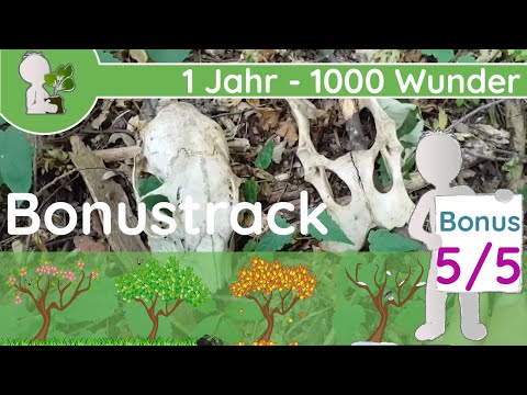 1 Jahr - 1000 Wunder "Letzte Schnipsel & Baba 👋" (Bonus 5/5 - 07.2019) - Danke euch allen!