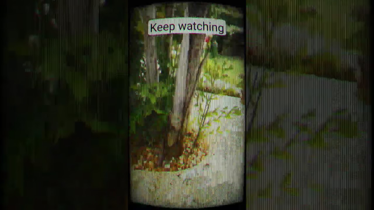 I just made a SHOCKING discovery