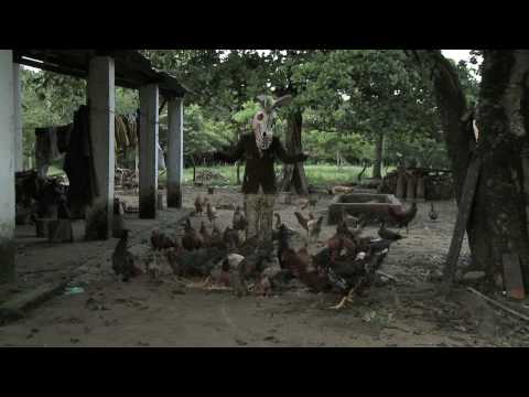 I'M BURRO - Velandia y la tigra - Video oficial