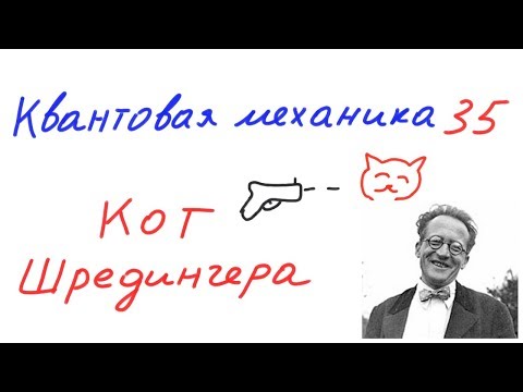 Квантовая механика 35 - Кот Шредингера