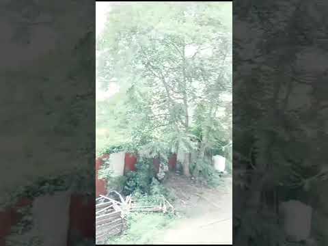 3D Tour Of Nobles Heights Building A1 AND A2 Phase 1