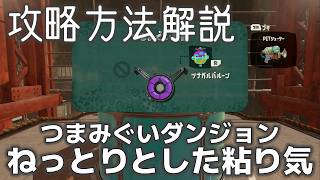 【レイダース】ねっとりとした粘り気：つまみぐいダンジョン攻略【Splatoon Raiders】