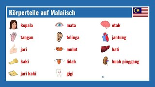 Körperteile auf Malaiisch