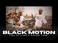 Black Motion Live Lion Safari Park Broederstroom South Africa