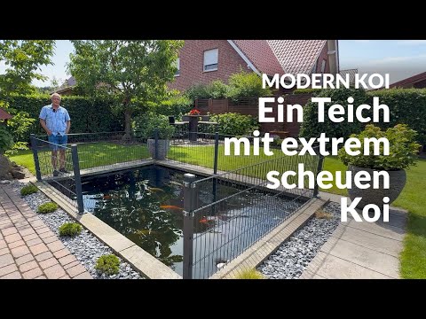 Uwe's 17,000l pond: clear but without current | Modern Koi Blog #7861