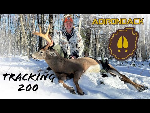 Adirondack Deer Season: Tracking Down a Remote Mountain Buck on Public Land by Jon Hill