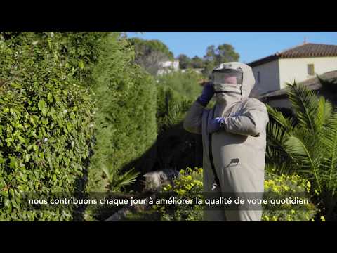 Vidéo de présentation - Tiger Solution