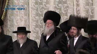 עו"ד דוד זעירא |ריקוד עוד ישמע לכ"ק אדמו"ר ממודז'יץ שליט"א - משמחת השבע ברכות