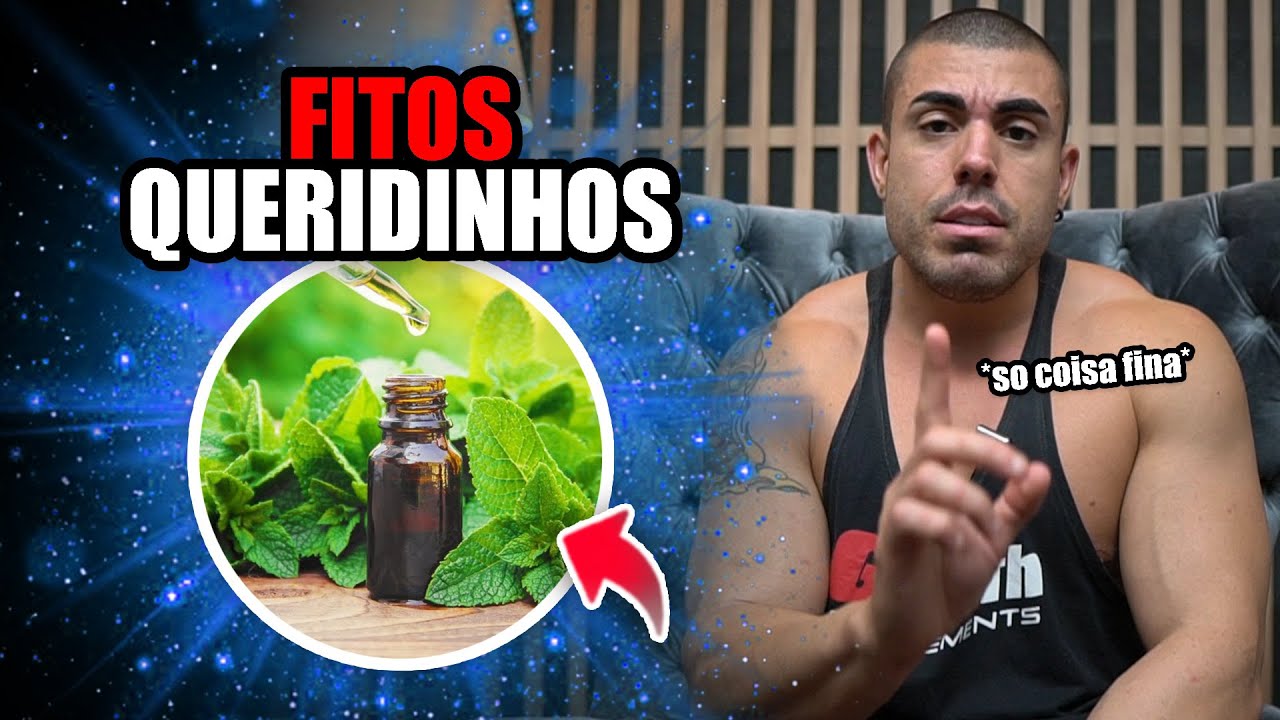 9 fitoterápicos mais queridos dos médicos