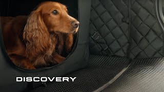 Land Rover Discovery Sport | Pet Pack