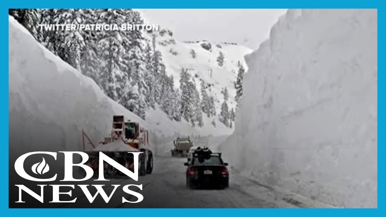 Are Climate Lockdowns Coming Because of a 'Climate Emergency'?