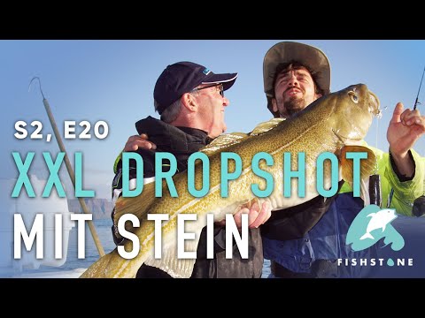 S2E20 - Atlantik Dickdorsch - FISHSTONE's Angelwelten