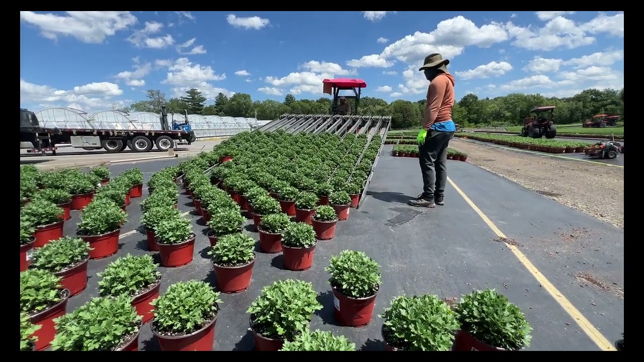 Harvey robots and Ideaal spacing forks