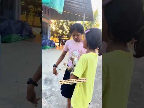 Cô bé bật khóc vì con mèo hoang mình luôn cho ăn đã ra đi #shorts