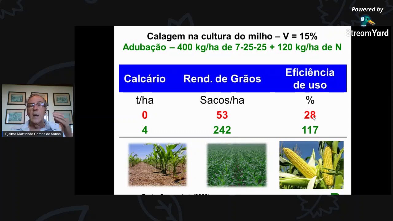 Calagem e Gessagem nos Solos do Cerrado | Me. Djalma Martinhão Gomes de Sousa