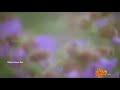 Kalakalakkum Mani Osai Salasalakkum Kuyil Osai Eeramana Rojave 1080p HD Mp4 TAmil Love Hits