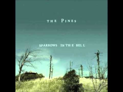 The Pines - Midnight Sun