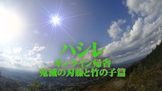 鬼滅の刃　藤　タケノコ　新緑　のんびり　元気に　オンライン帰省　「しんまちTV」meets "Hey! Mr. BROWNIE"