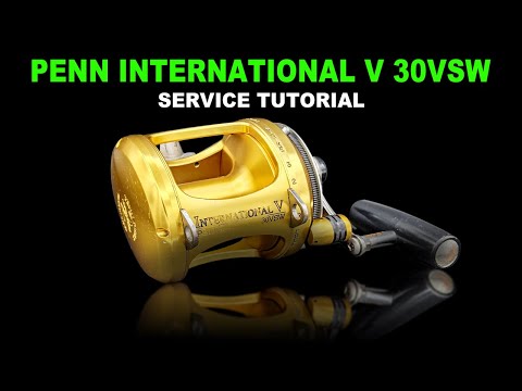 Penn International 30VSW Fishing Reel - How To Service