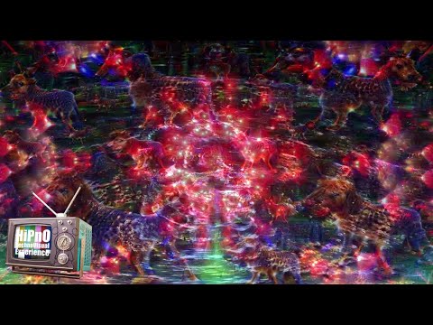 Black Out meets Psynonima // Visuals by HiPnO