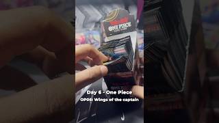 One Piece TCG OP06 Wings of the captain Pack Opening — Day 6 | caraphen.rips