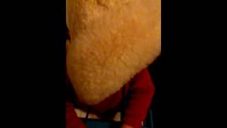 Dance of the Siberian jazz fairies