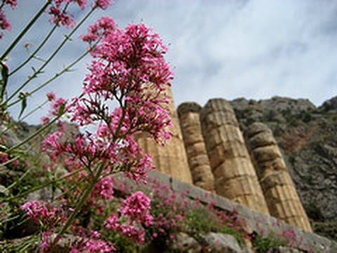 Anthousai (Nymphs of the Flowers) - Improvisation for Ancient Greek Chelys Lyre