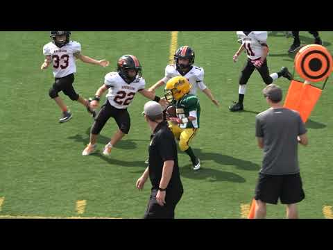 Anderson Wildcats vs.  Sycamore Aves (2nd grade - 9/19/21)