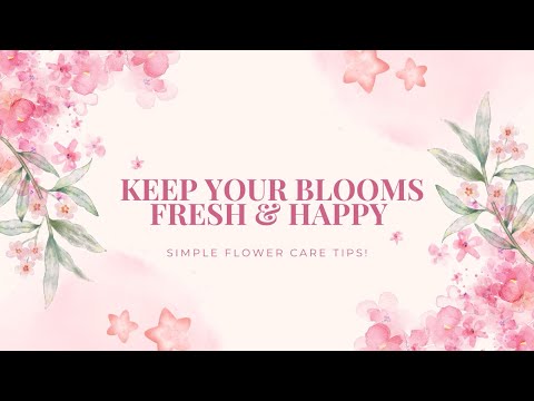 Keep Your Blooms Fresh & Happy 🌸 Simple Flower Care Tips!