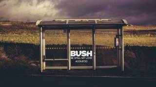Bush - Be Still My Love (Acoustic)