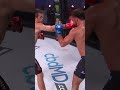 Usman Nurmagomedov Returns To The Bellator Cage