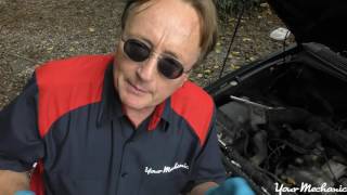 How To Change Spark Plugs in Your Car with Scotty Kilmer