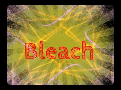 Bleach Chapter (#663) 5 Point Review